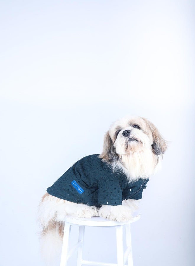 15 Buttons Dog Peacock Blue Sequence Work Sherwani | Pure Cotton Fabric | Wedding Dress for Pets | Comfortable Ethnic Summer Outfit Choice | for All Occasions | for French Bulldog (XL) - Image 4